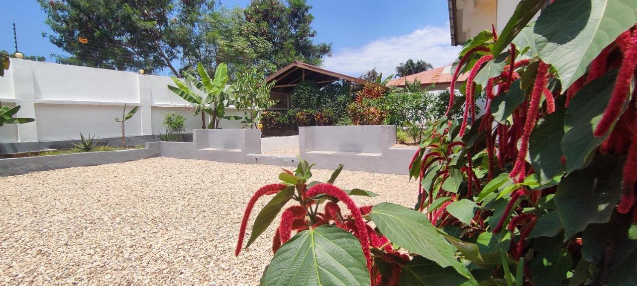 Hotel Garden Pearls Nungwi Exterior foto